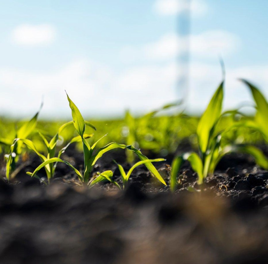 Ökológiai talajművelés: Előnyök és követelmények