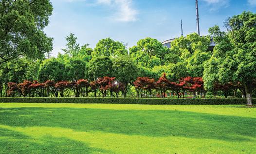 Fűfelületek ipari és mezőgazdasági területeken