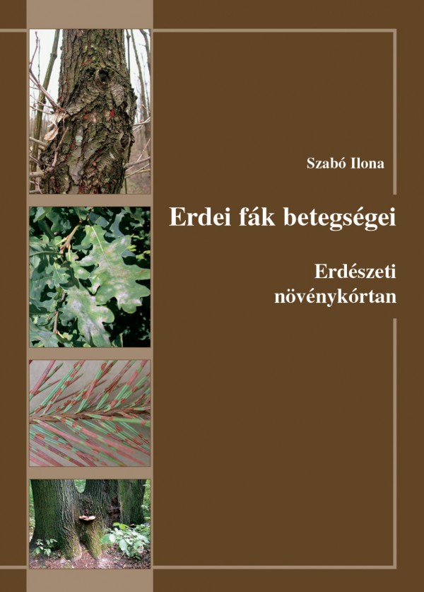 Erdei f&aacute;k betegs&eacute;gei