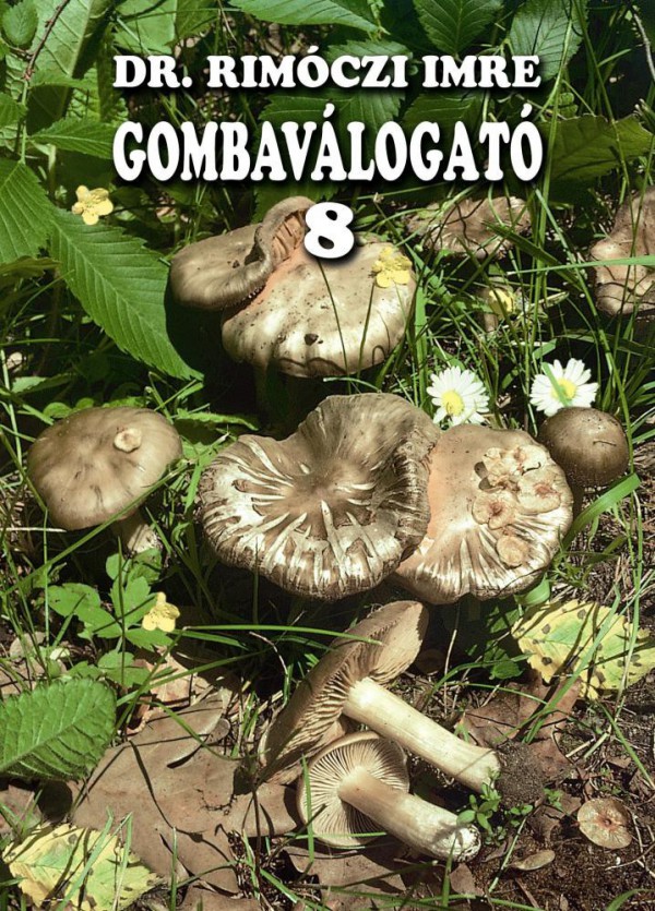 Gombaválogató 8.
